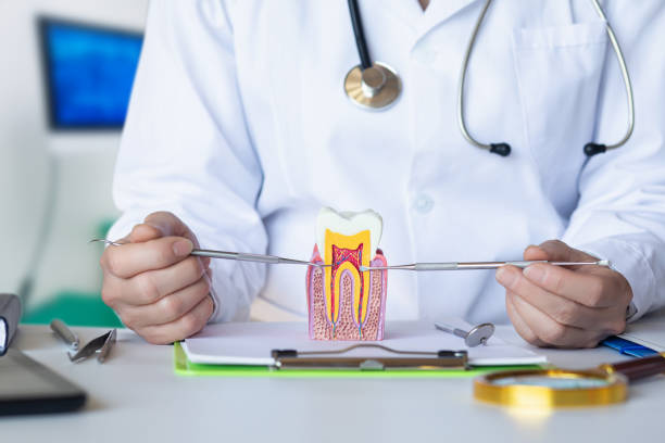 Best Emergency TMJ Treatment in Livingston, LA